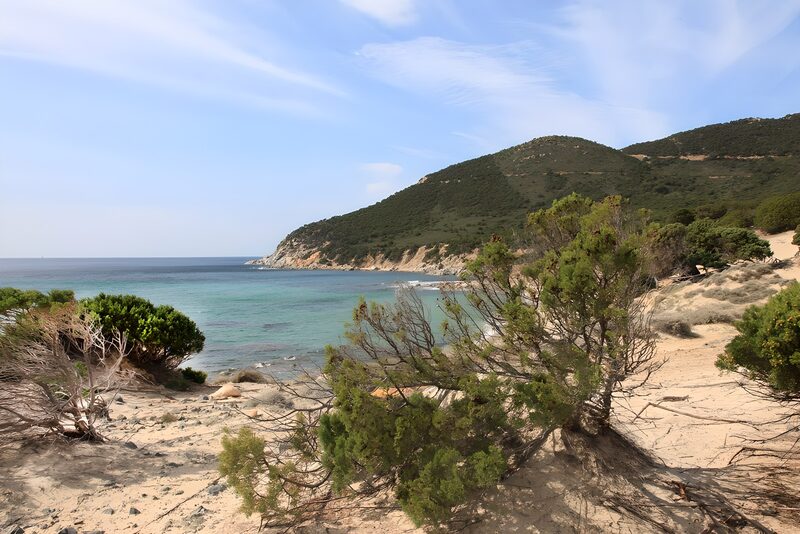 Serene Coastal Landscape