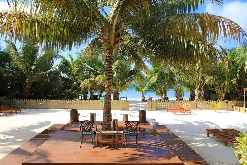 Tropical Oasis by the Beach
