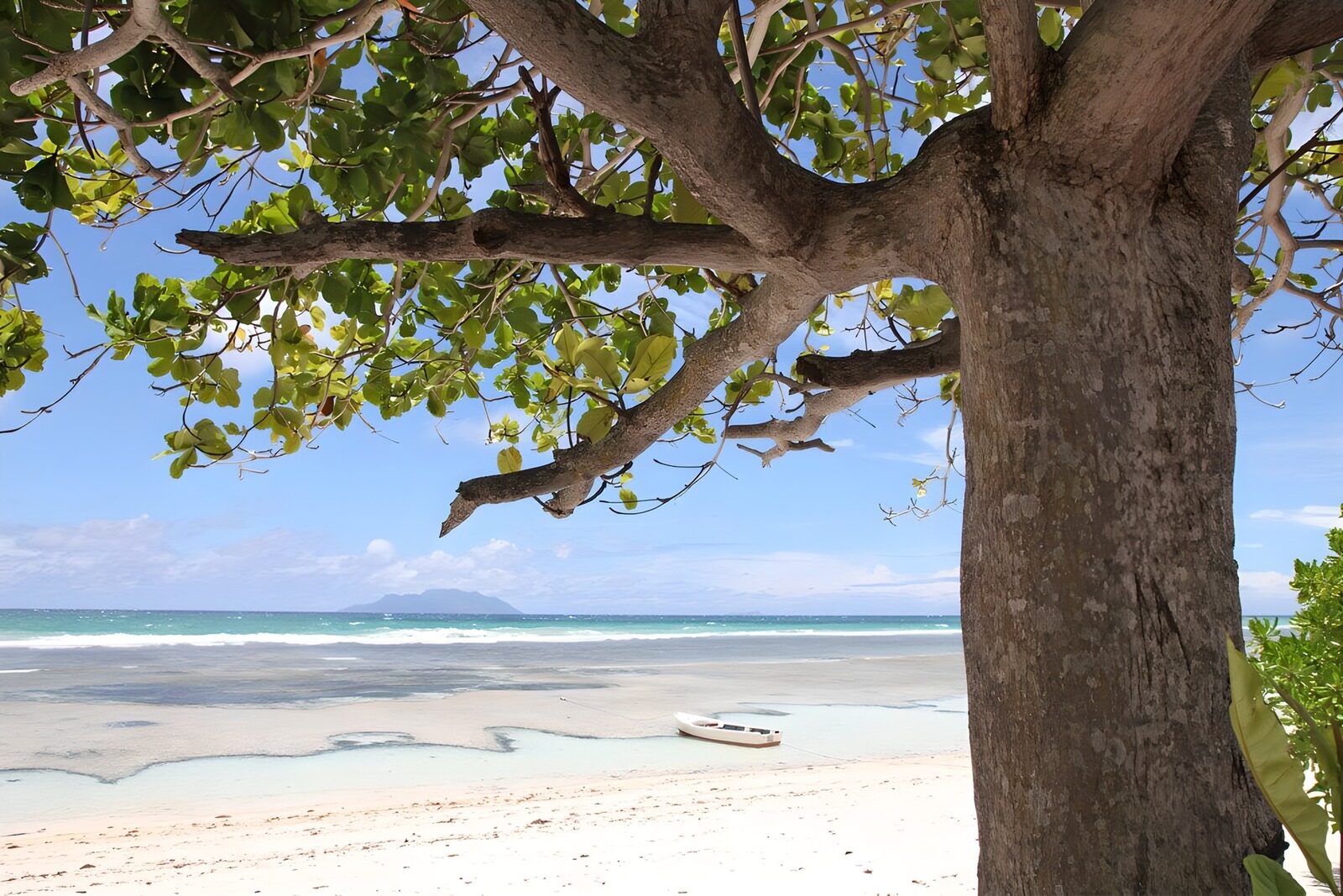 Tropical Beach Serenity