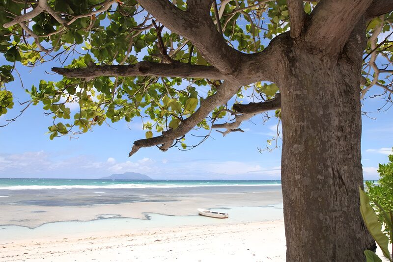 Tropical Beach Serenity