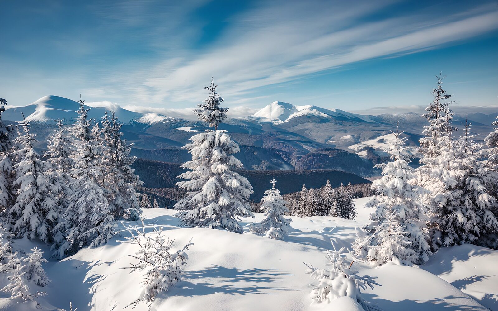 Serene Winter Landscape