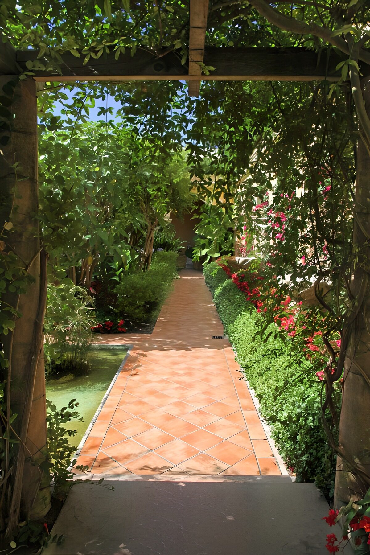 Serene Garden Pathway