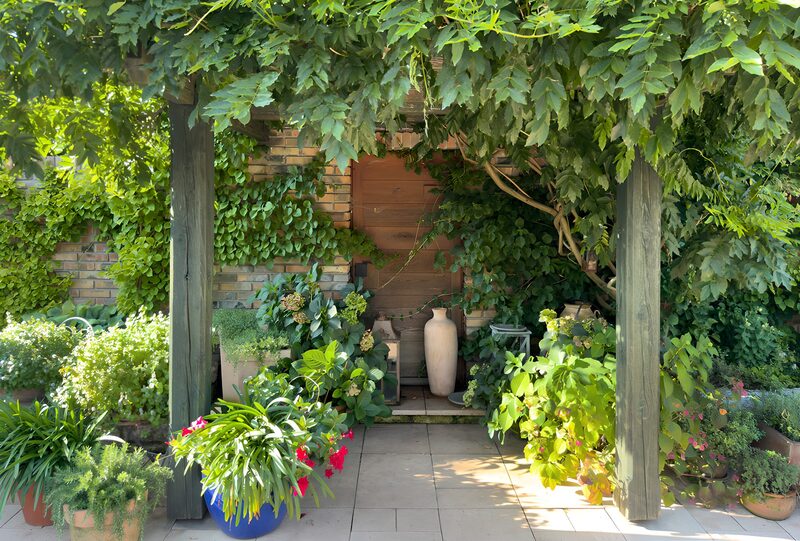 Cozy Garden Sanctuary