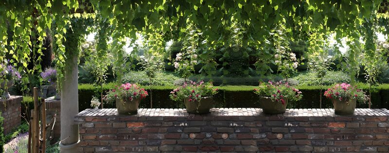 Serene Garden Oasis