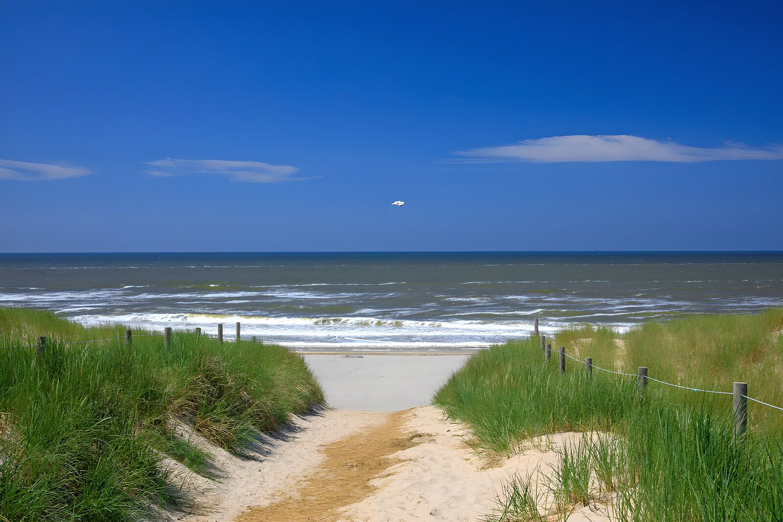 Tranquil Pathway to the Ocean