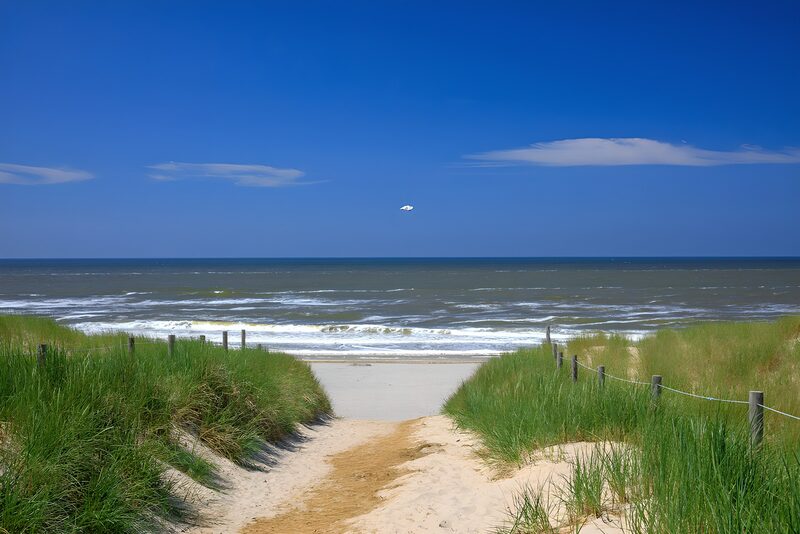 Tranquil Pathway to the Ocean