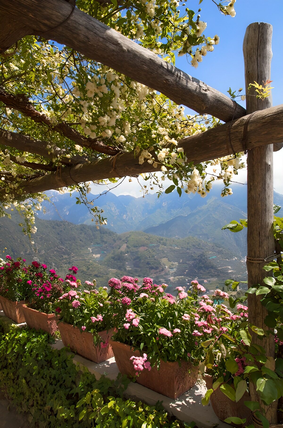 Serene Mountain Blossoms
