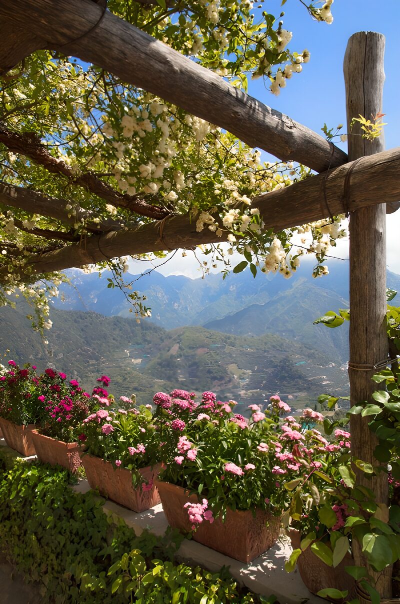 Serene Mountain Blossoms