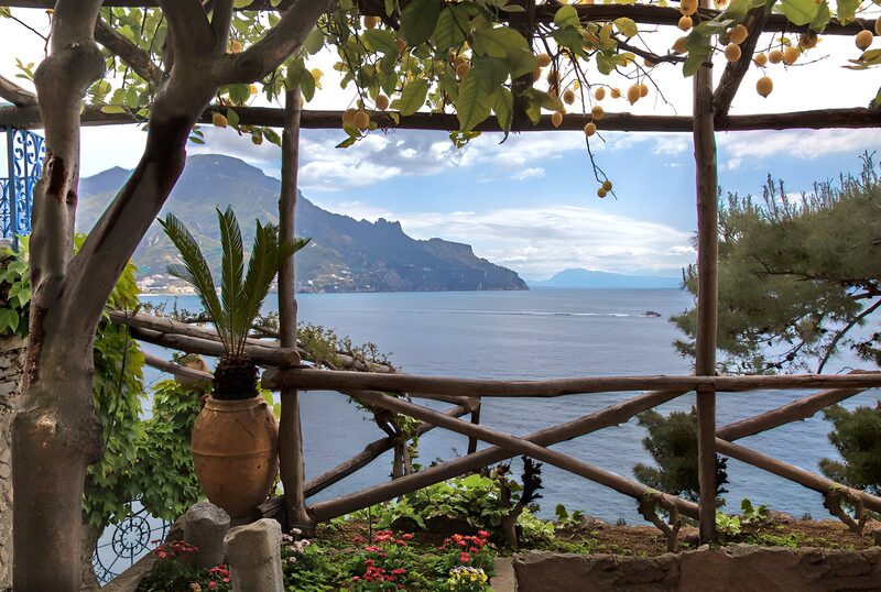 Tranquil Coastal View from a Garden