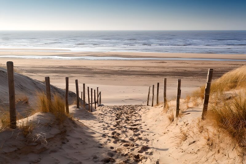 Pathway to Serenity by the Sea