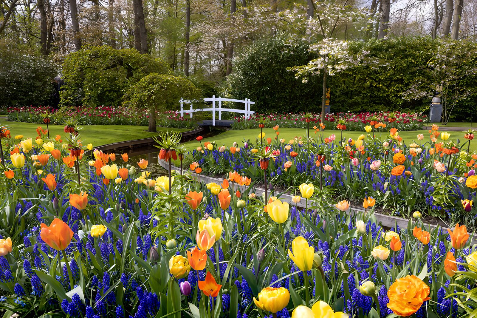 Vibrant Spring Garden in Full Bloom