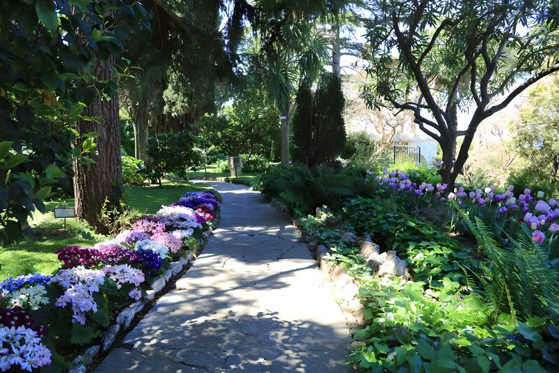 Scenic Garden Pathway