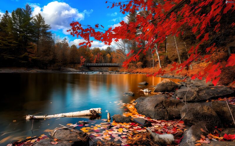 Autumn Serenity by the River