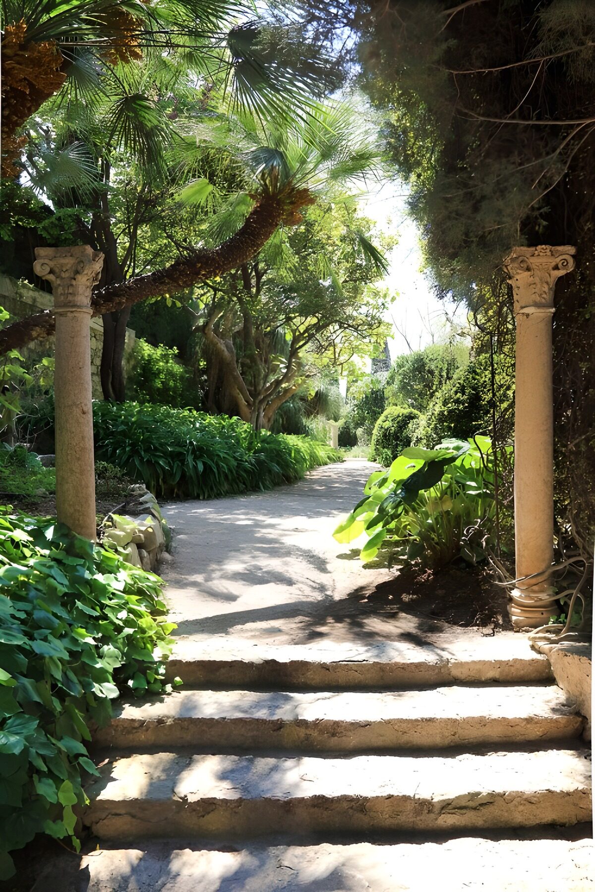 Serene Garden Pathway