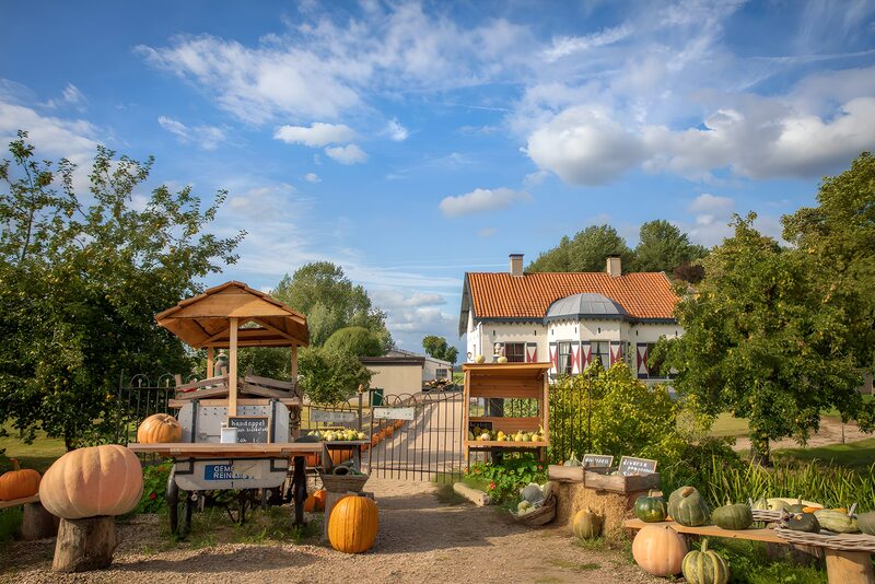 Rural Pumpkin Patch and Farm Stand