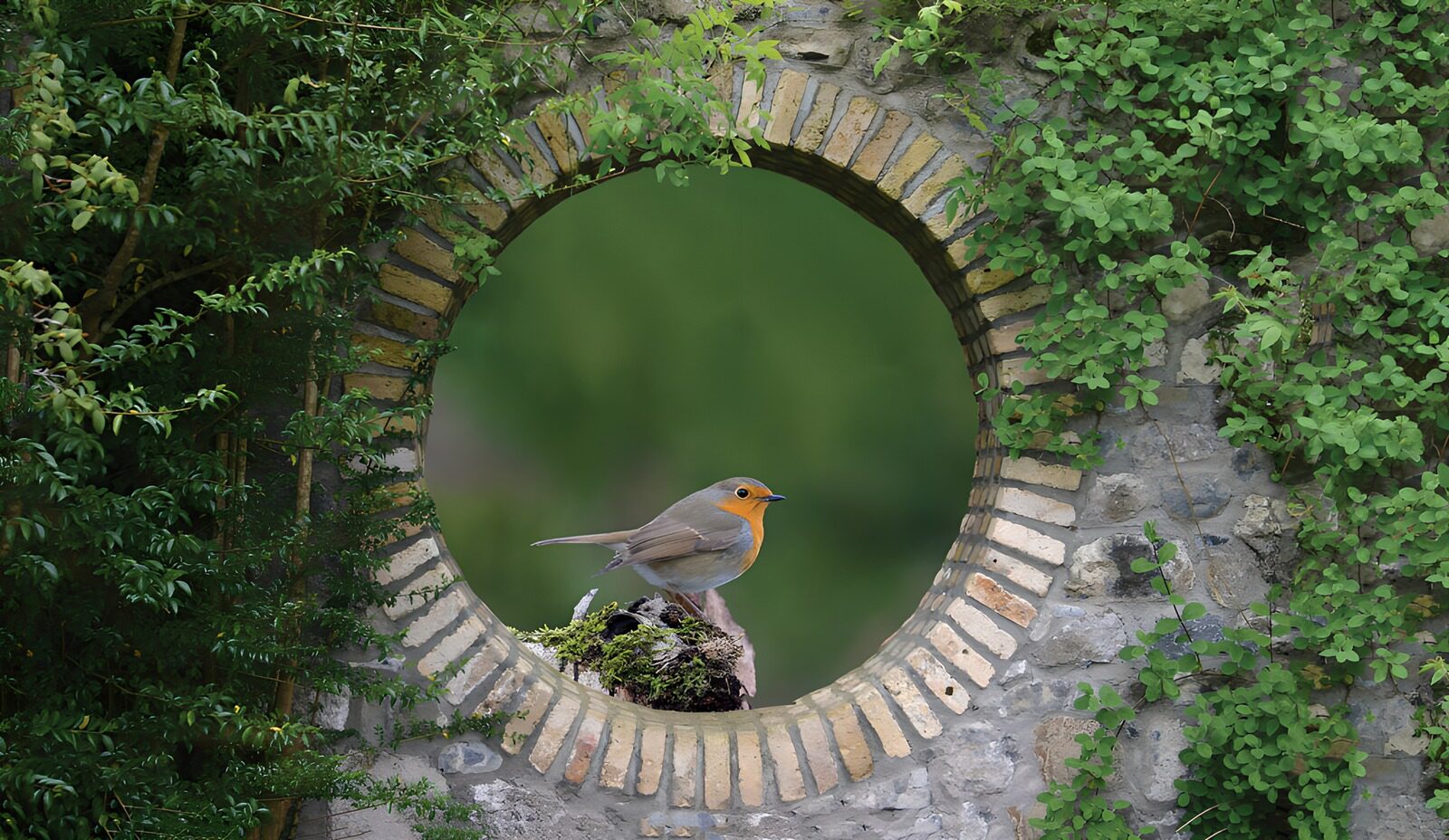 Songbird in a Stone Archway