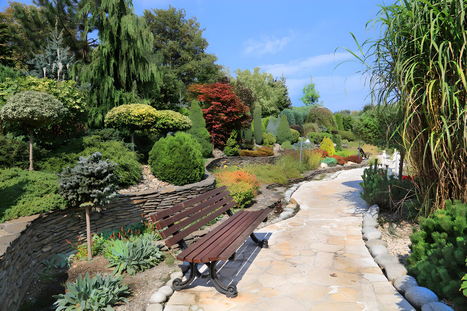 Tranquil Garden Path