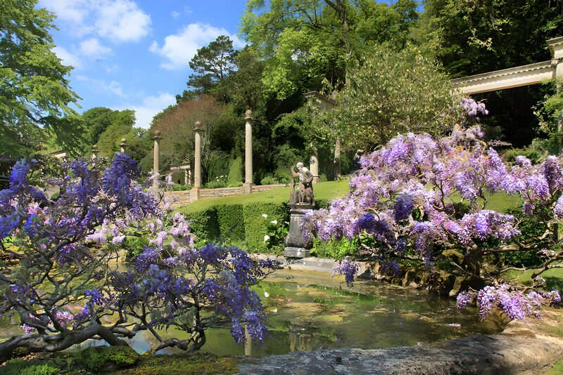 Tranquil Garden Oasis in Spring