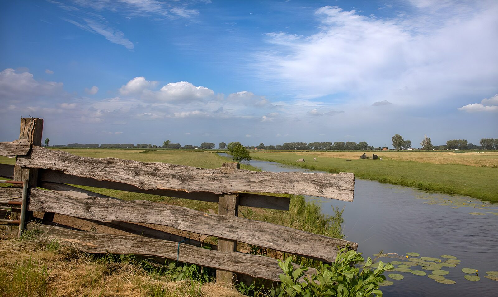 Tranquil Countryside Scene