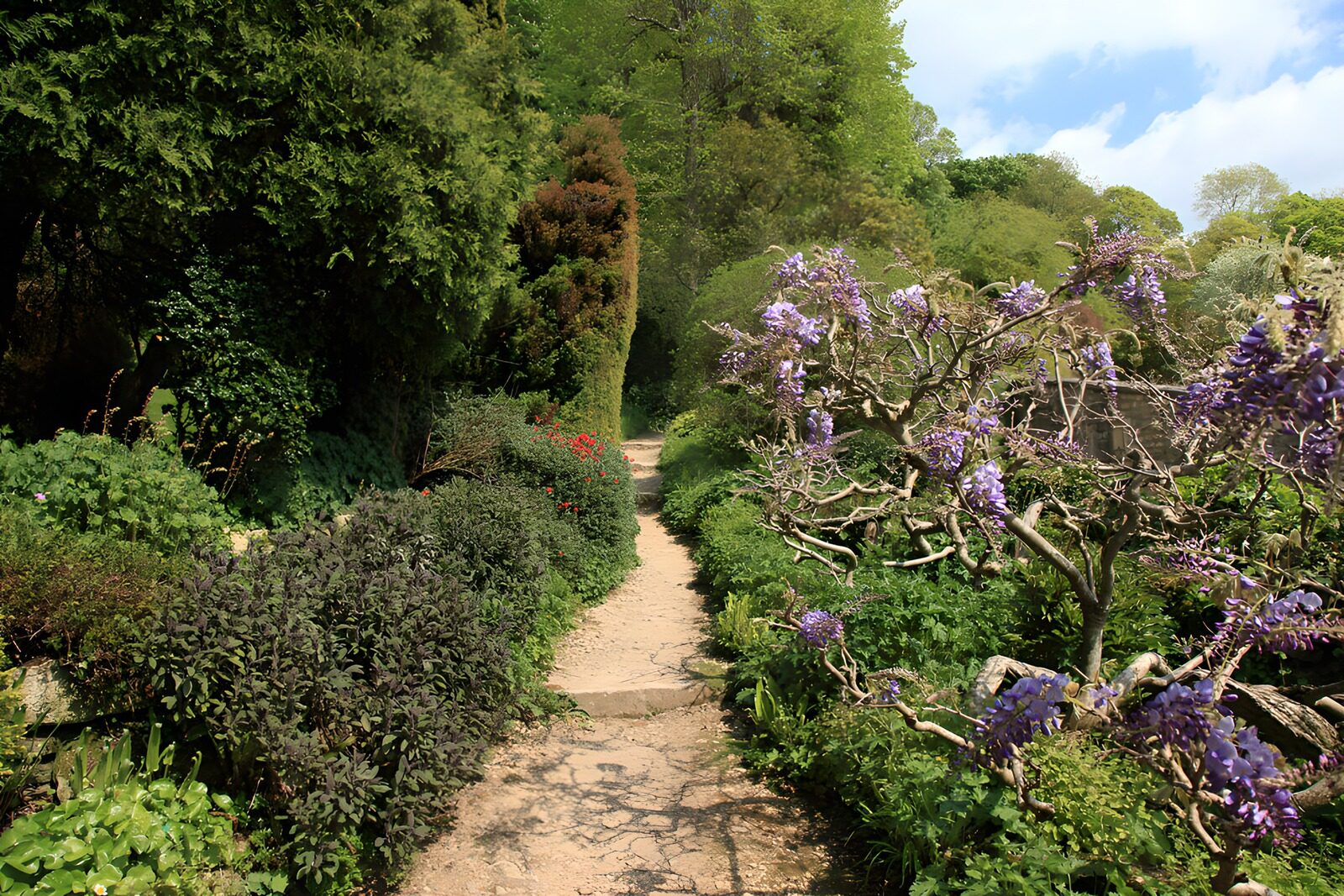 Serene Garden Pathway