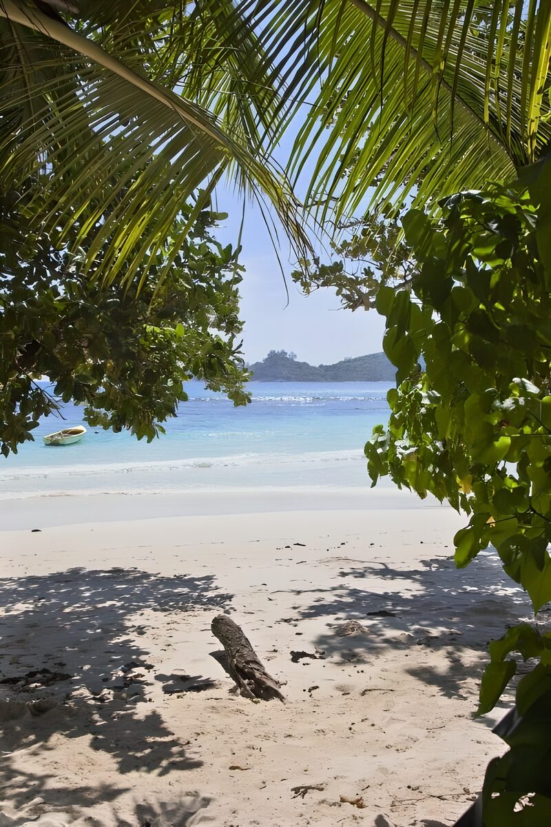Tranquil Beach Escape