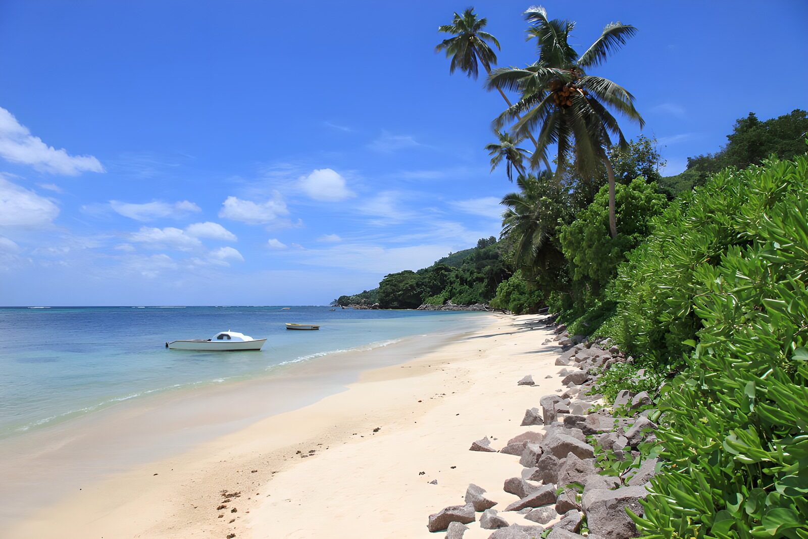 Serene Tropical Beach Paradise