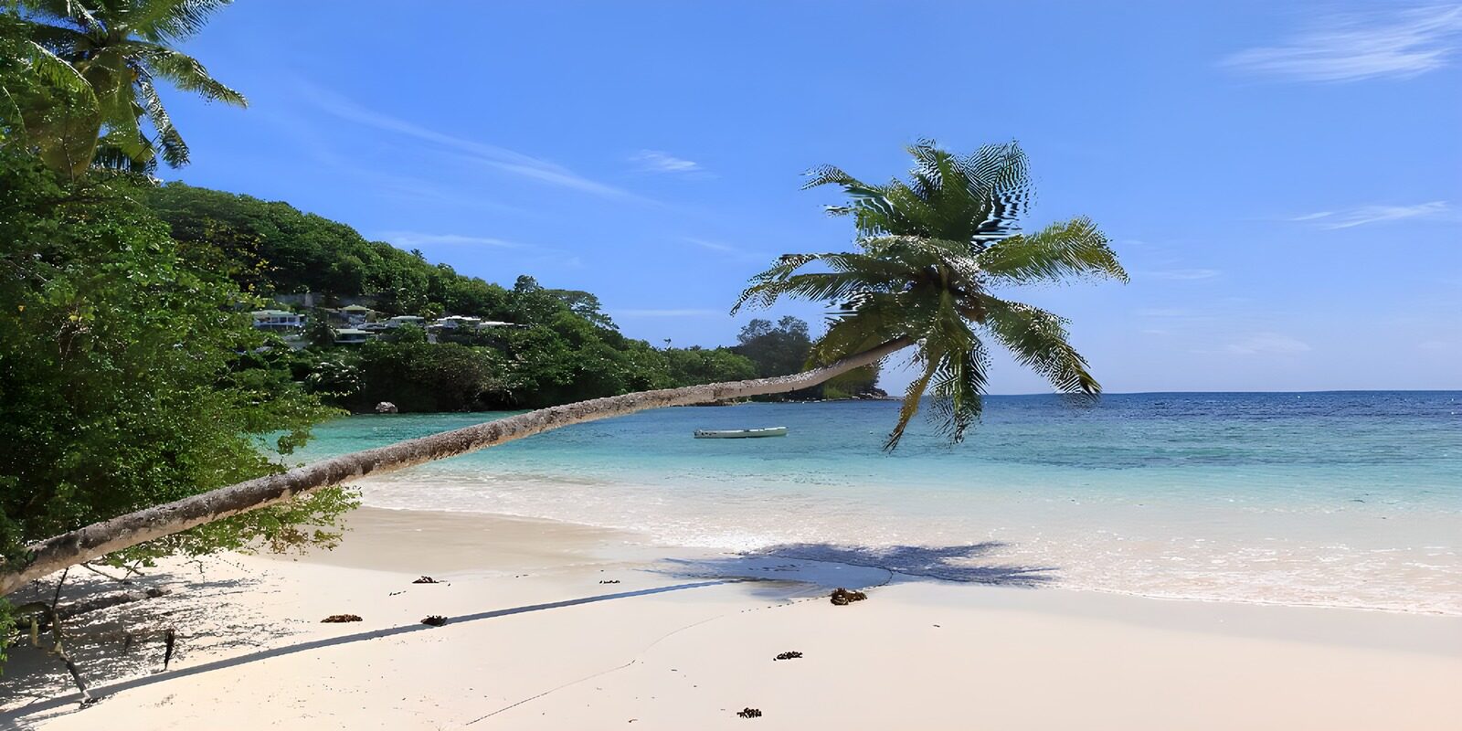 Serene Tropical Beach Escape