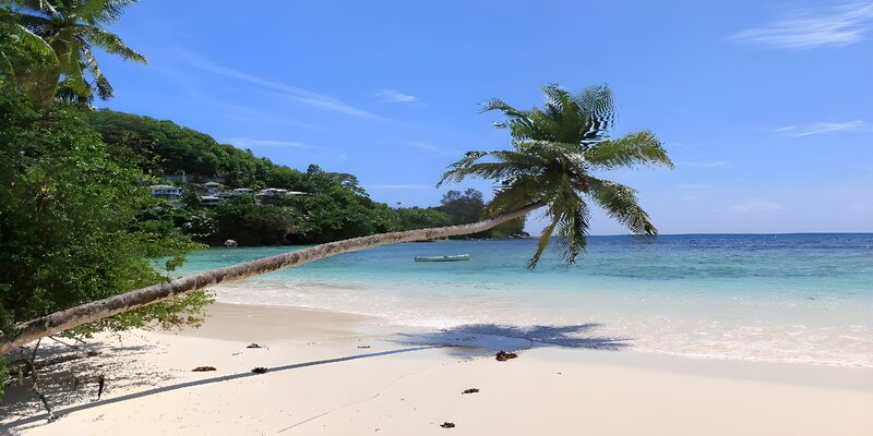 Serene Tropical Beach Escape