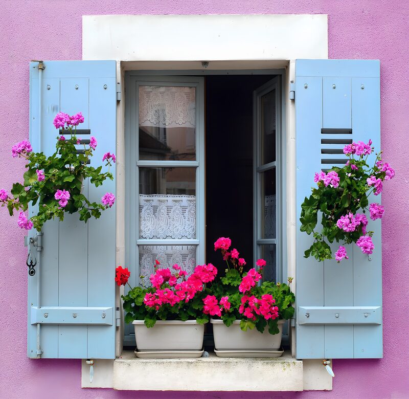 Window of Blossoms in a Pink Wall