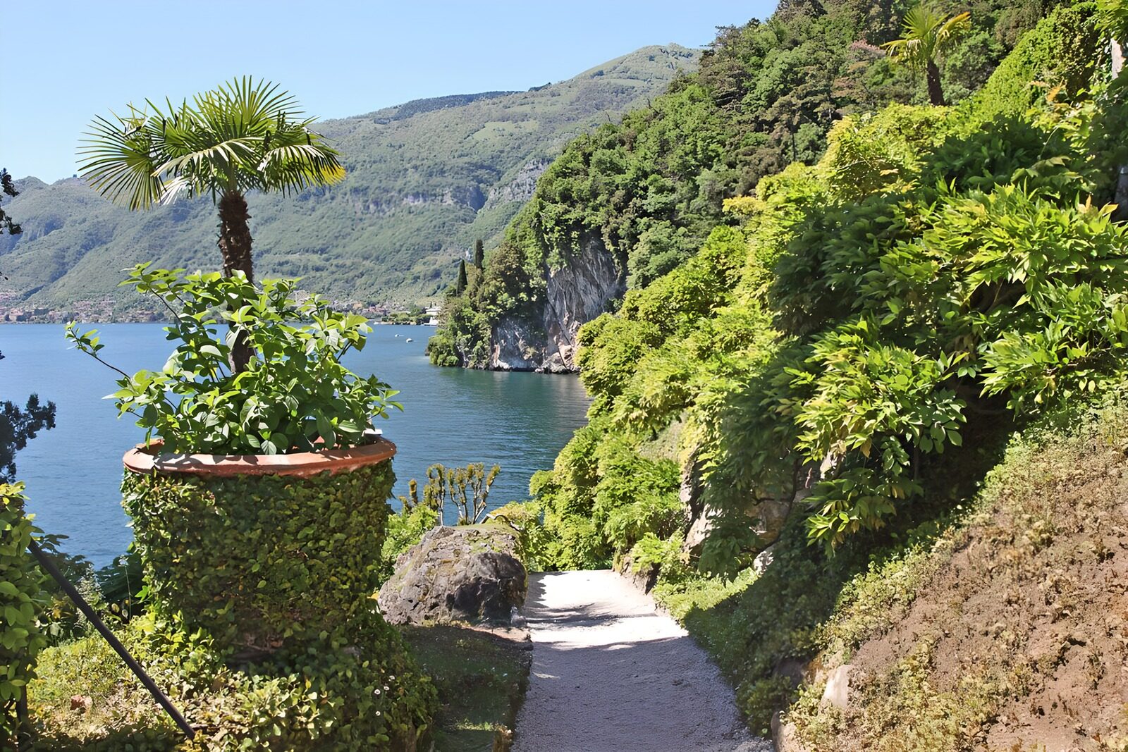 Serene Lakeside Pathway
