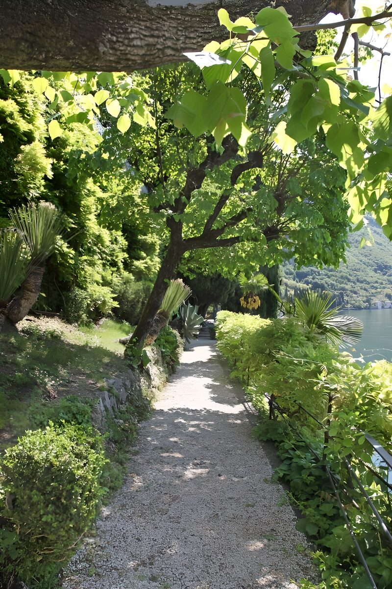 Serene Lakeside Pathway