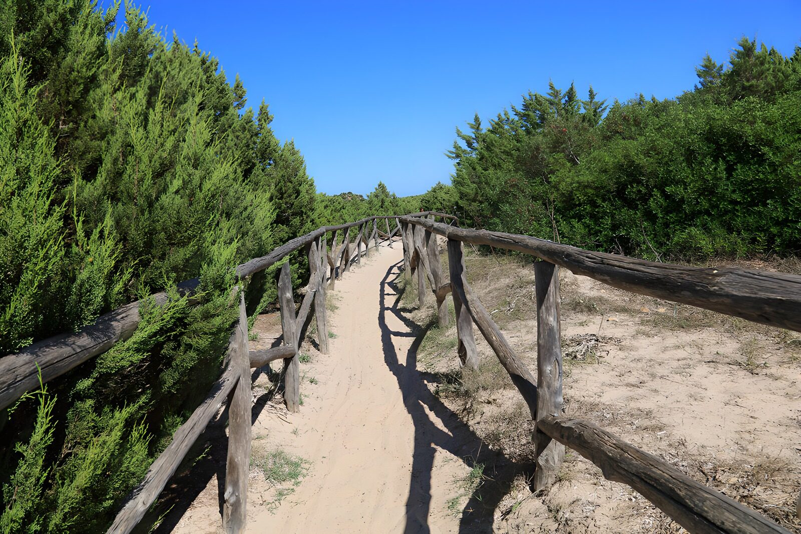 Serene Coastal Pathway