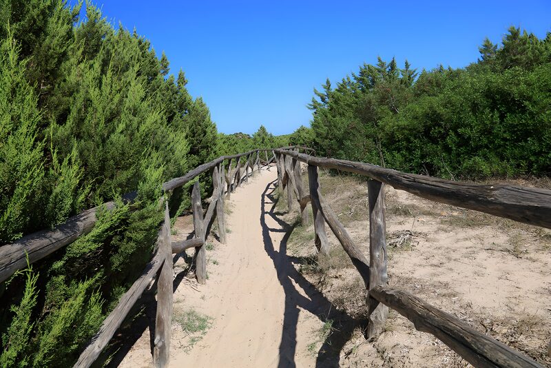 Serene Coastal Pathway