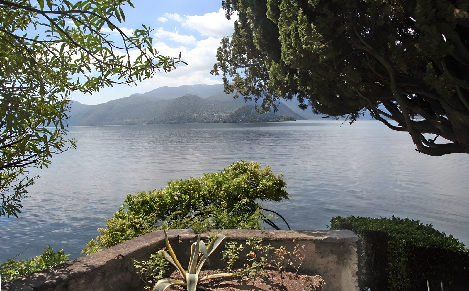 Tranquil Waterside View