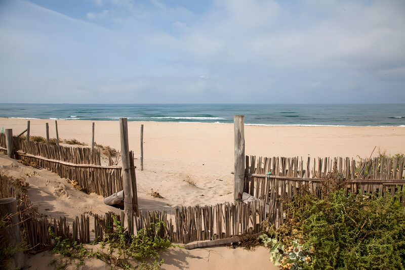 Tranquil Beach View with Wooden Fence