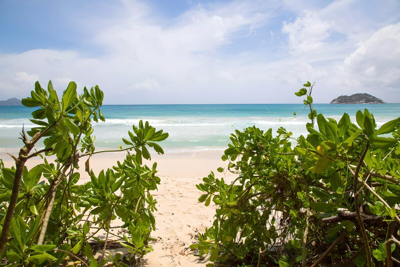 Serene Beach View Framed by Greenery