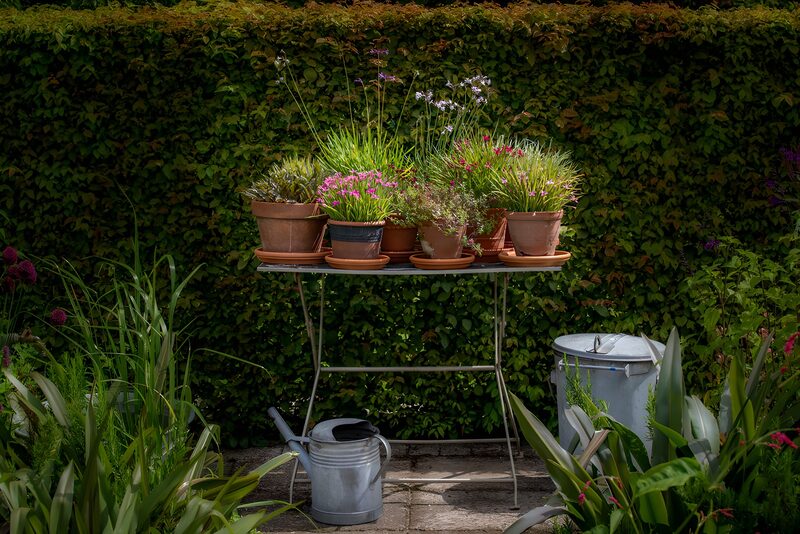 Lush Garden Table with Potted Plants