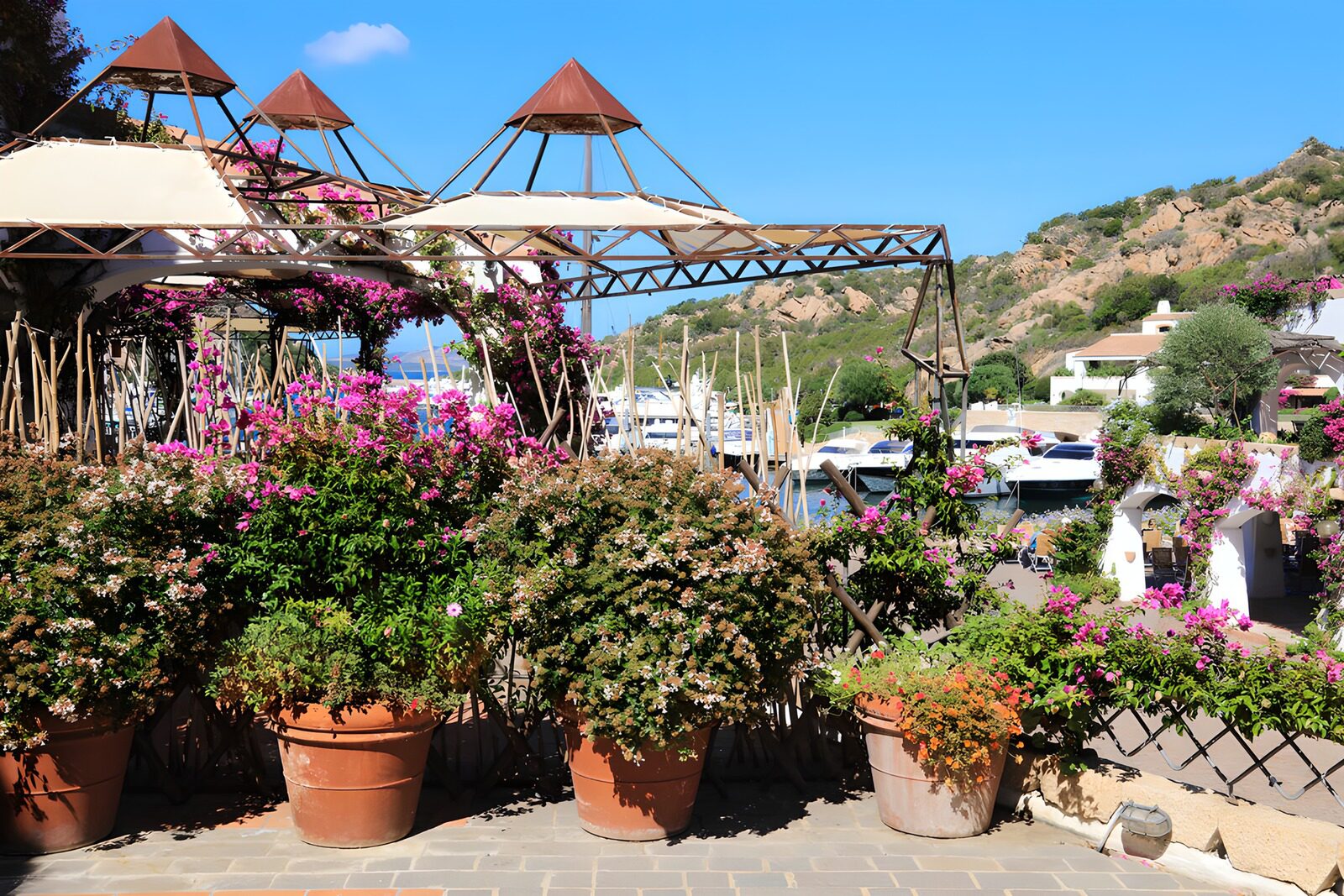 Floral Harbor View