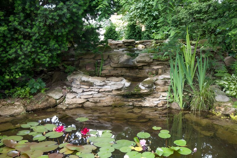 Tranquil Garden Pond with Lilies