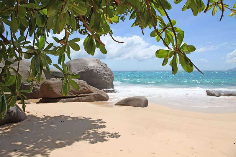 Tranquil Beach Escape with Scenic Waves
