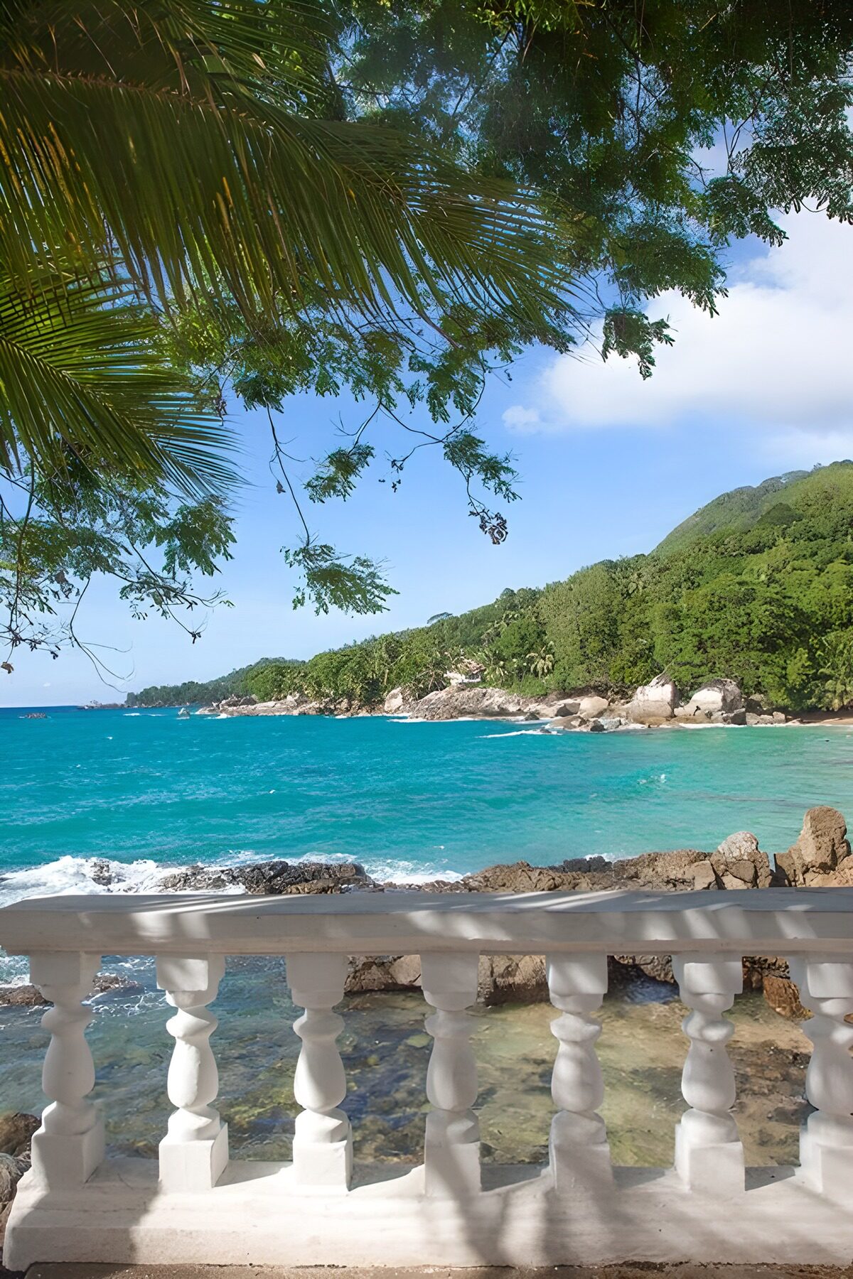 Serene Coastal View with Palm Trees