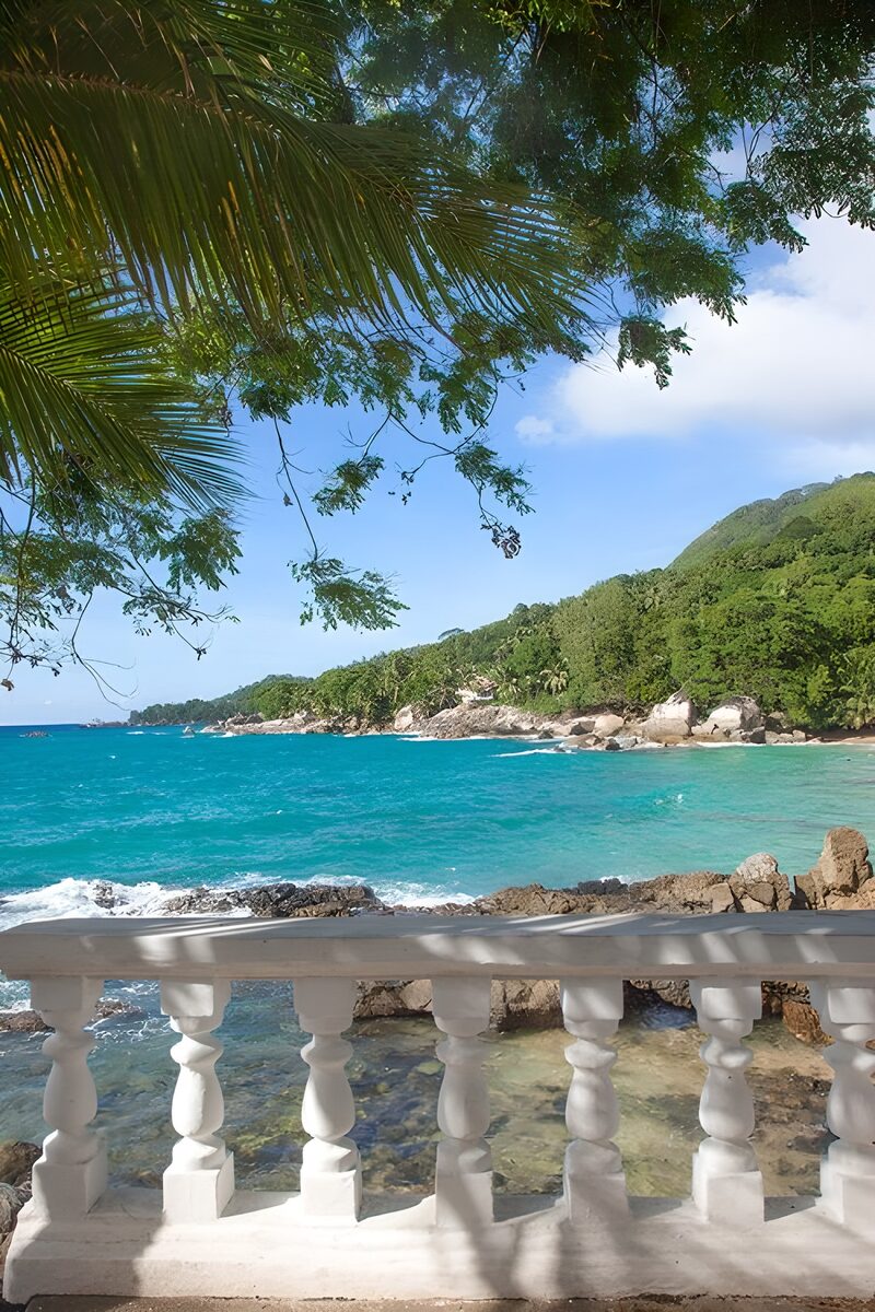 Serene Coastal View with Palm Trees
