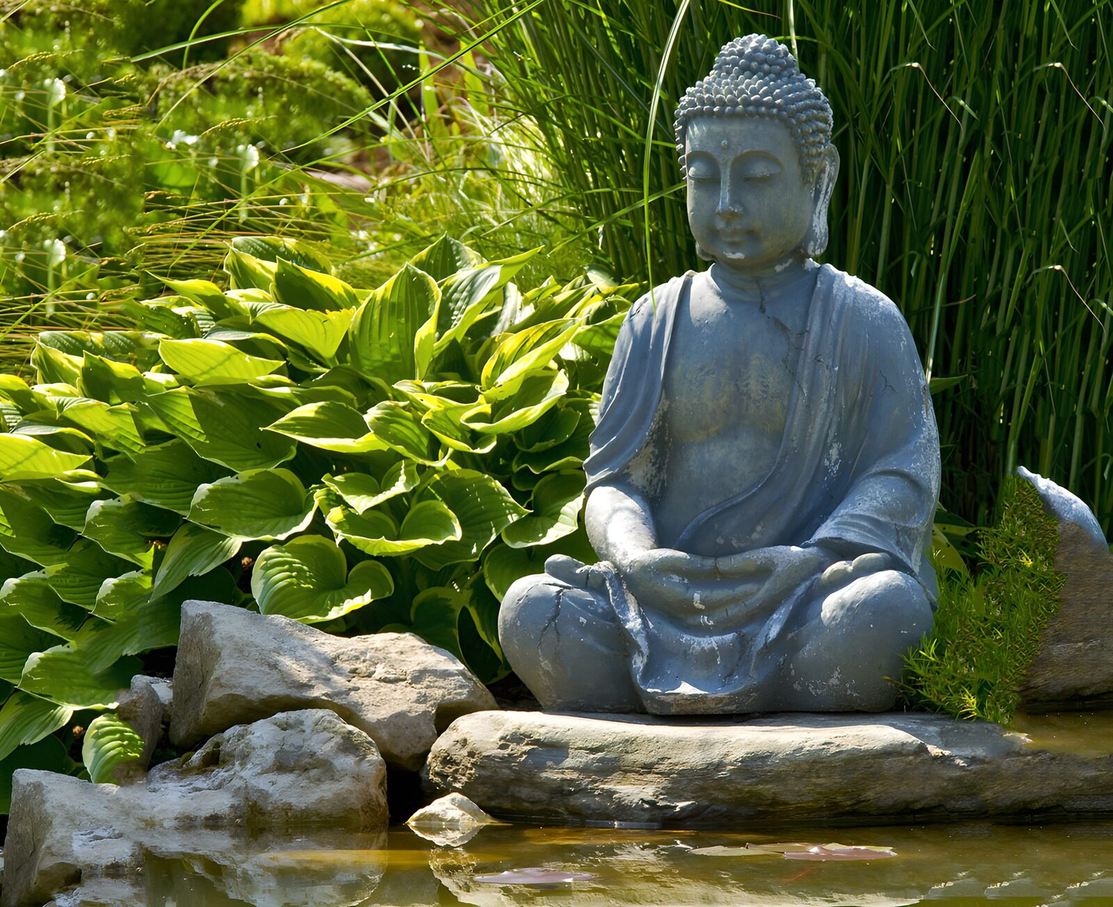 Serenity in a Garden