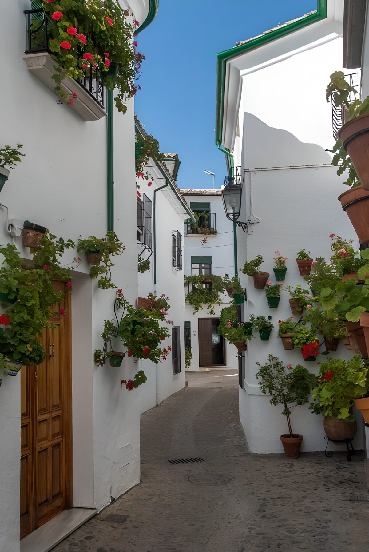 Charming Courtyard of Whitewashed Walls