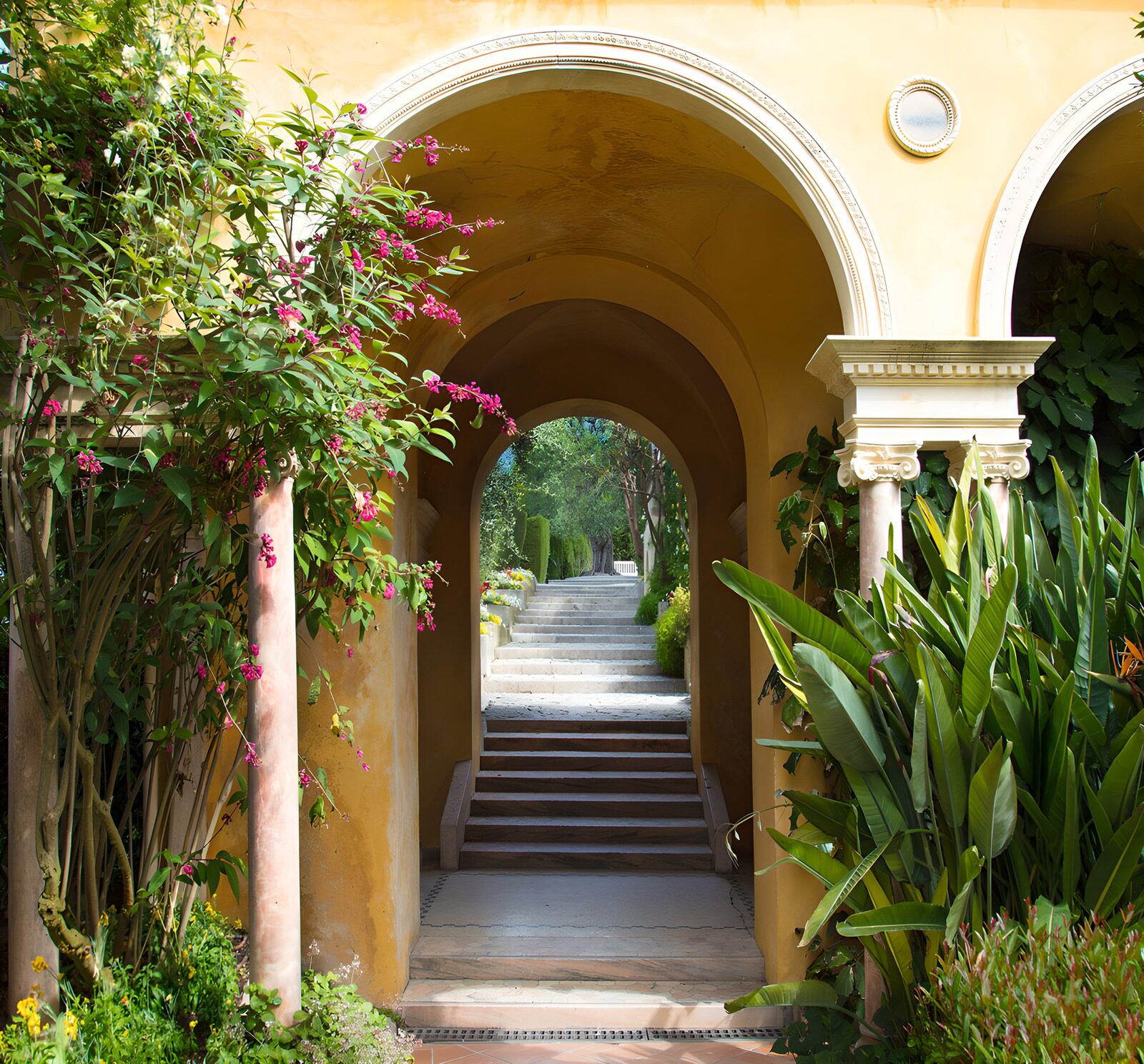 Serene Garden Pathway