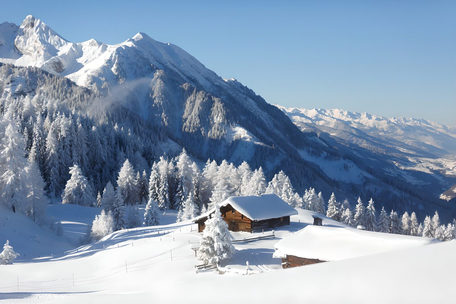 Serene Winter Landscape in the Mountains
