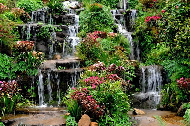Serene Waterfall Amidst Vibrant Flora