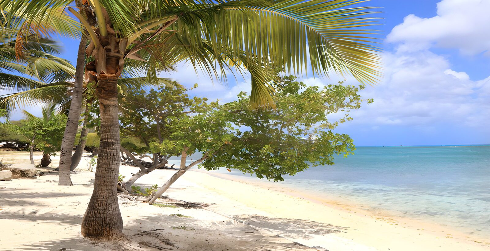 Tropical Beach Paradise