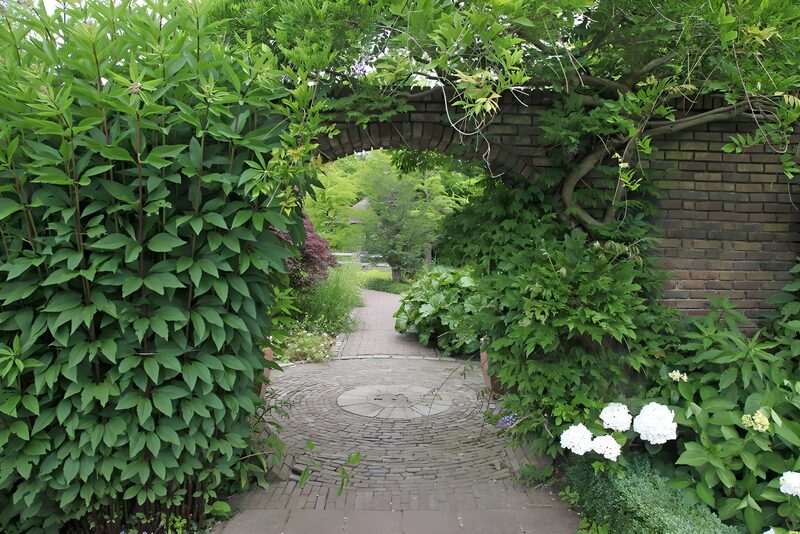 Enchanted Garden Pathway