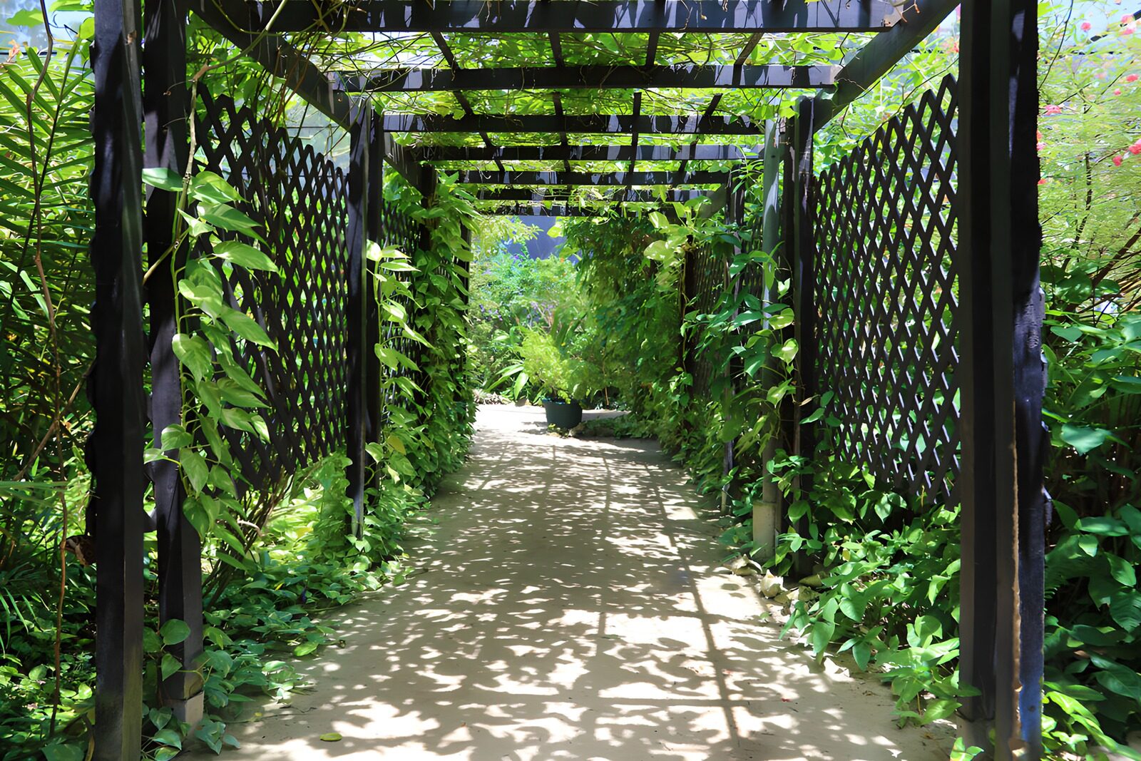 Lush Garden Pathway